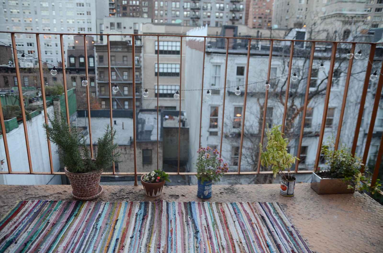 How the hell do I not kill plants?